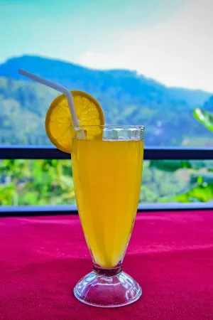 Dimuthu Home Stay Отели рядом с достопримечательностью «Литл Адамс Пик»