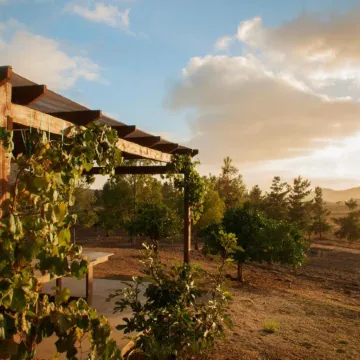 Casa Mayoral B&B Pet Friendly