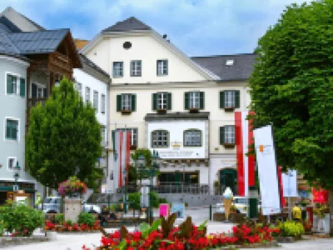 SPA Hotel Erzherzog Johann Hotels in Bad Aussee