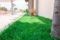 Basil link luxury rooms Hotels in 