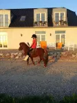 로스킬레 B&B  호텔