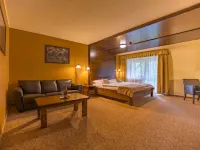 Aplend Wellness Hotel Borovica Hotels in Strbske Pleso