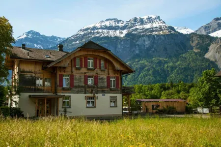 Hotel Alpenrose Beim Ballenberg Отели в г. Шаттенхальб