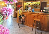 Residence Bellevue - bar