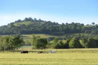 Rotes Ross Marktbergel Hotels in Burgbernheim