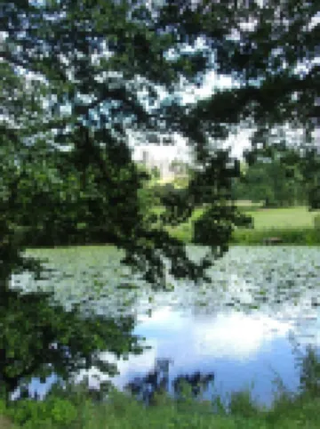 Abbey Farm Bed and Breakfast Hotels in North Warwickshire District