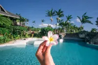Tanna Evergreen Resort & Tours - Pool