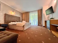 Top Mountain Hotels in Cristian