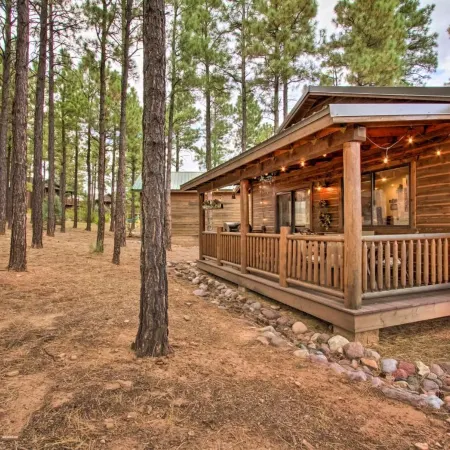 3 Mi to Fool Hollow Lake Romantic Show Low Cabin