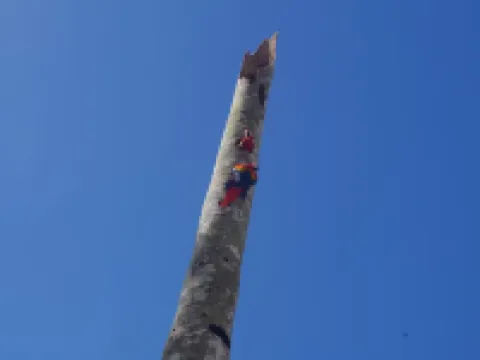 キャビナスゴルフィト ゴルフィトのホテル