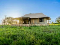 Malaika Seronera Luxury Camp Hotels in Serengeti