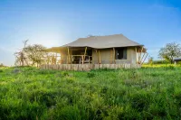 Malaika Seronera Luxury Camp Hotels in 
