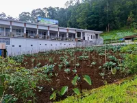 Hotel Green View near Sarangan Lake RedPartner - Wifi