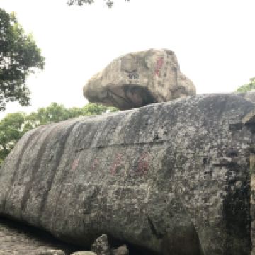 評論圖片 3