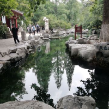 評論圖片 4
