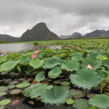 評論圖片 1