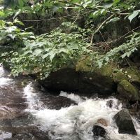 評論圖片 2