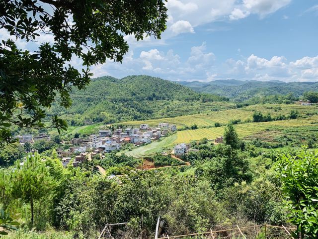핑산 제전