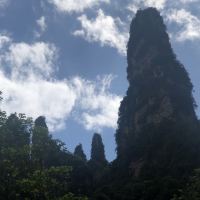 評論圖片 3