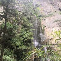 評論圖片 7