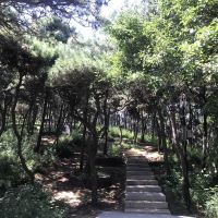 評論圖片 7