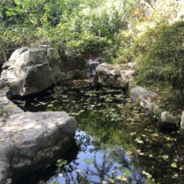 評論圖片 4