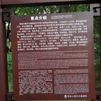 評論圖片 1