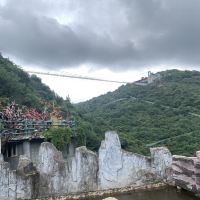 評論圖片 5