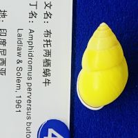 評論圖片 4