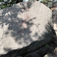 評論圖片 6