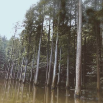 評論圖片 3