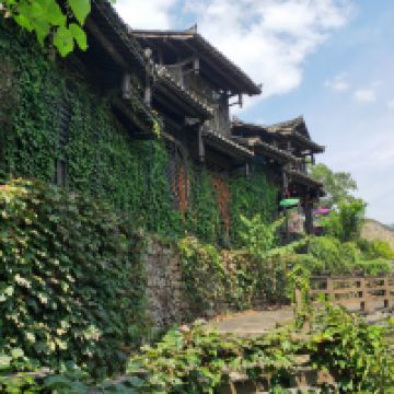 評論圖片 5