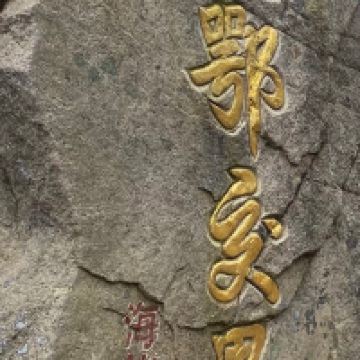 評論圖片 4