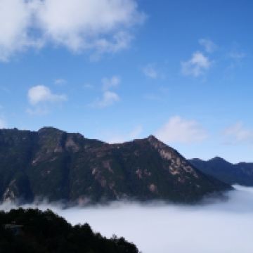 評論圖片 3