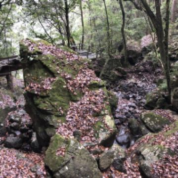 評論圖片 3
