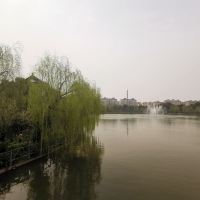 評論圖片 2