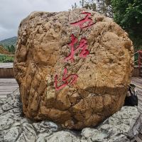 評論圖片 7