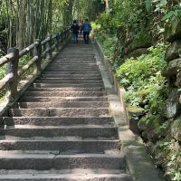 評論圖片 3