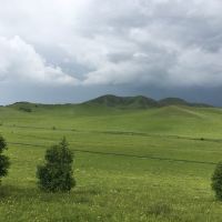評論圖片 1