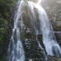 評論圖片 1