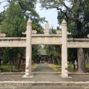 評論圖片 3