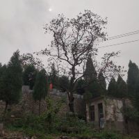 評論圖片 8