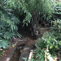 評論圖片 1