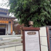 評論圖片 4