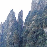 評論圖片 3