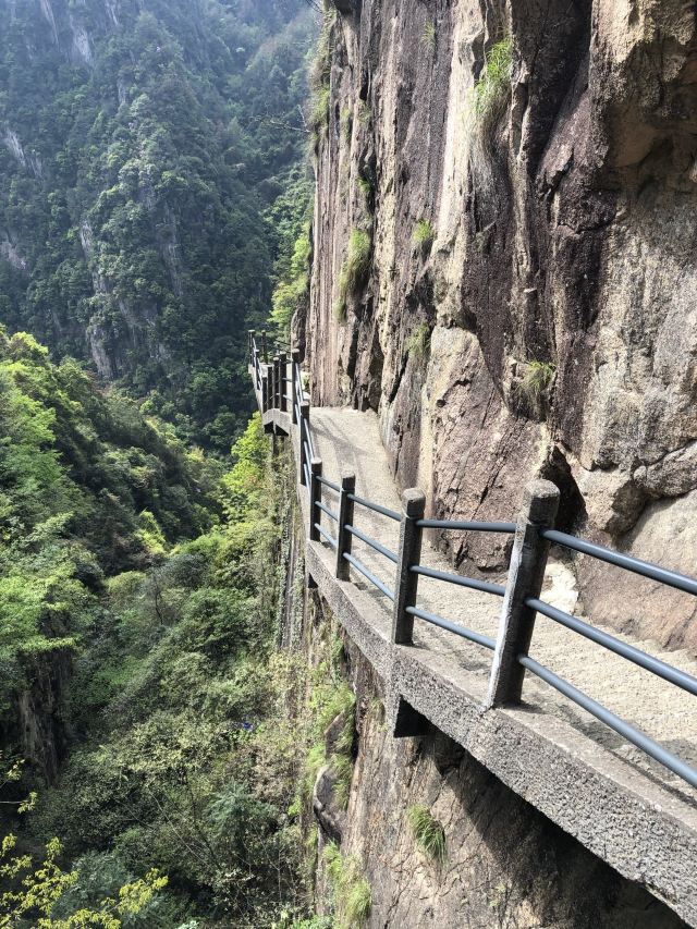 경대선곡