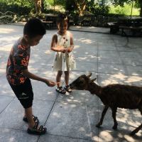 評論圖片 5