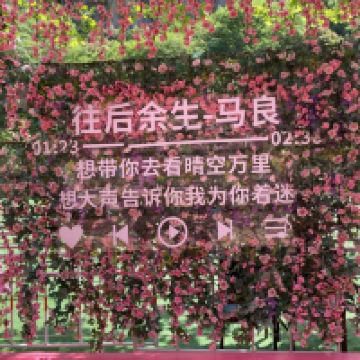 評論圖片 7