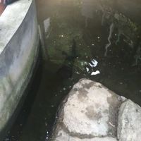 評論圖片 3