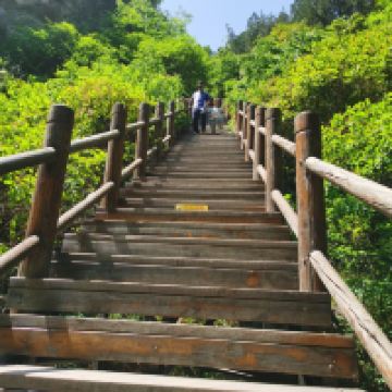 評論圖片 1